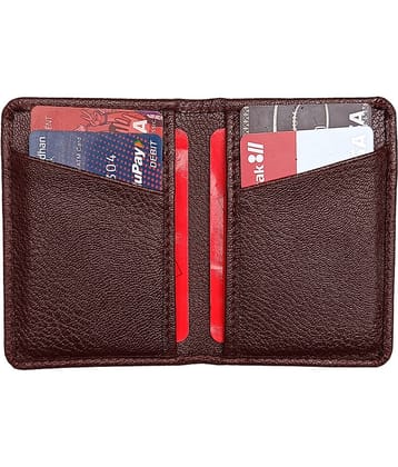 Wingers - PU Leather Unisex Card Holder ( Pack of 1 )