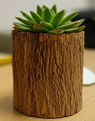 Natural Wood Pot with Live Succulents