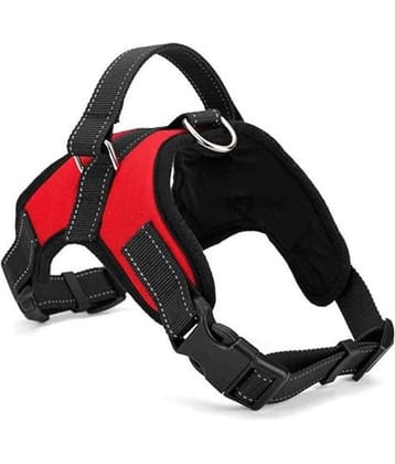 Petshop7 Blue Harness ( Large )