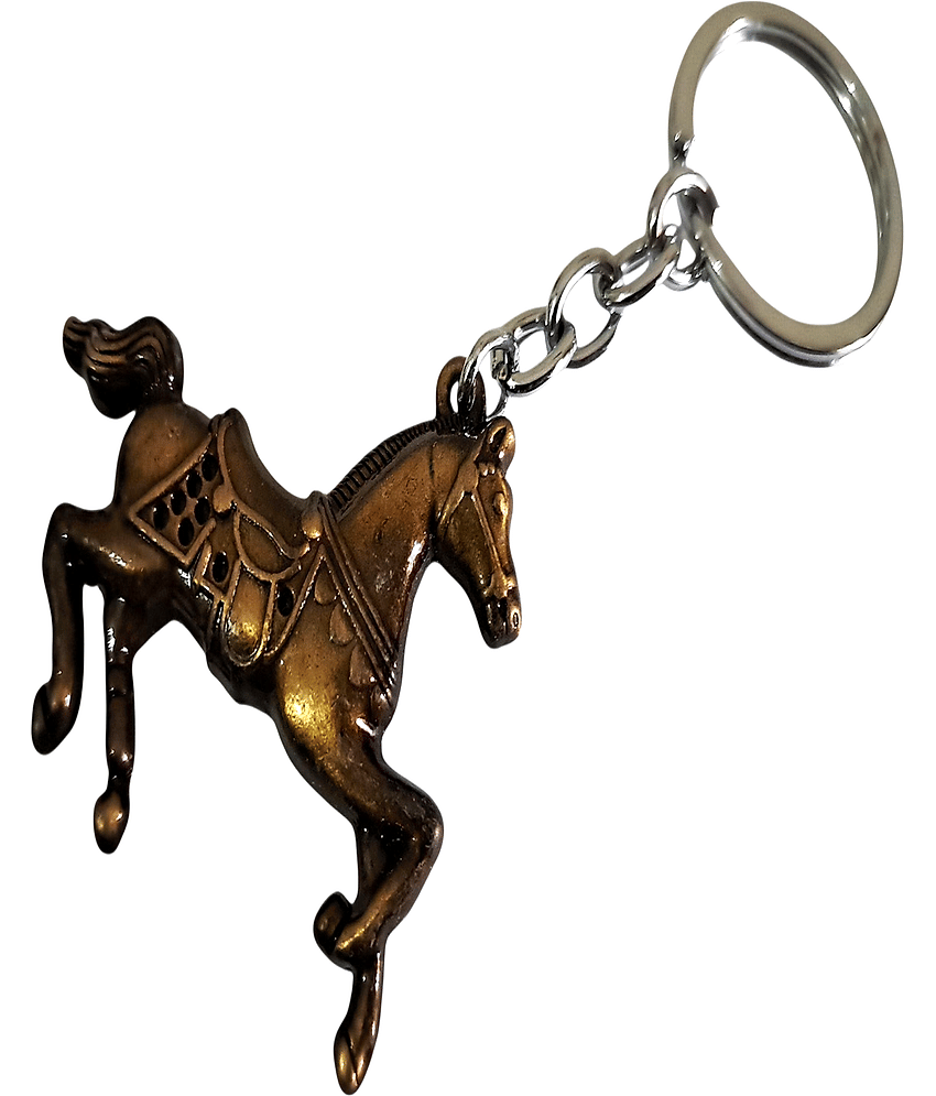 Cailyn Multi Color Key Chain ( Pack of 1 )