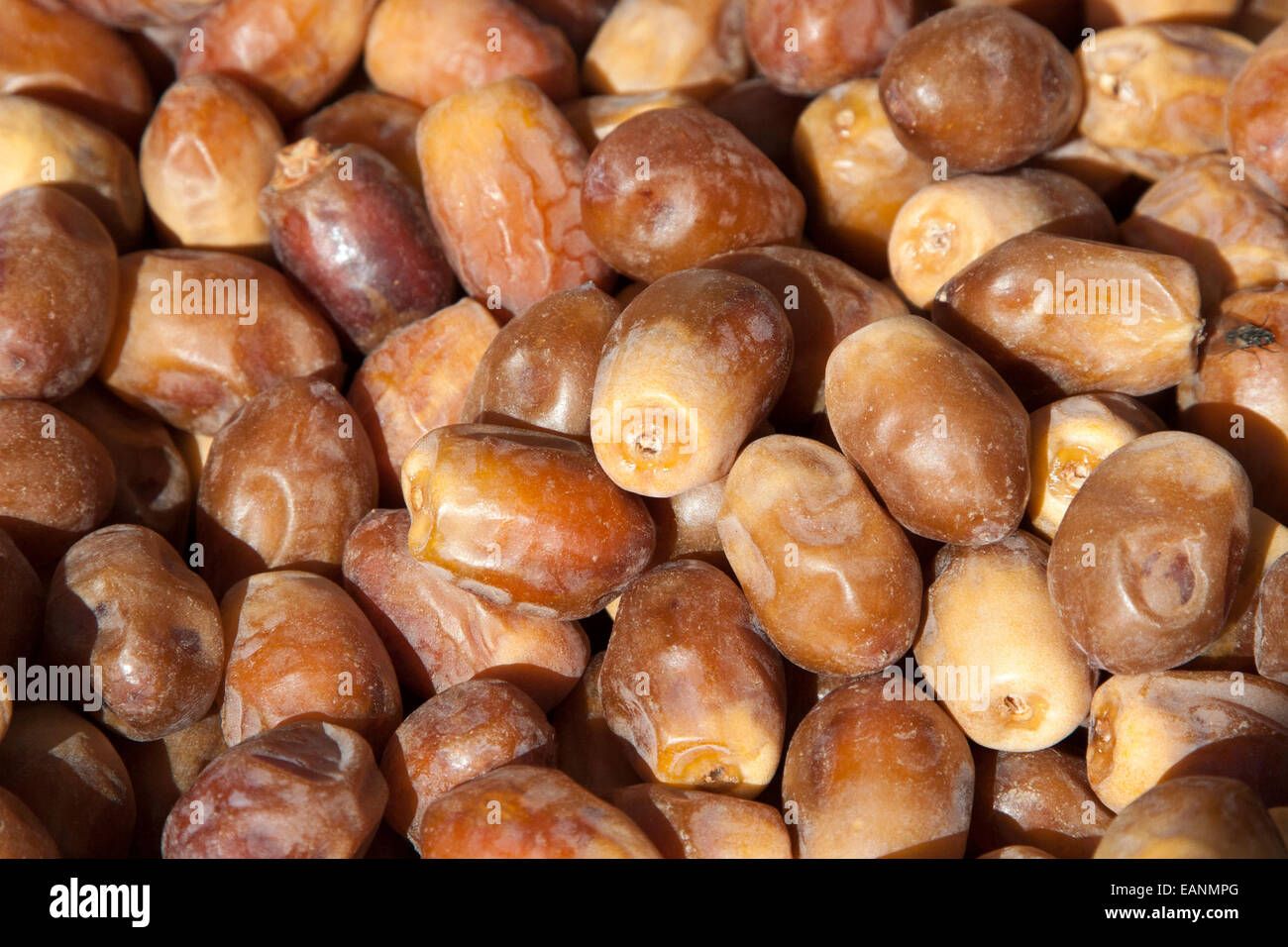 Zahidi Dates