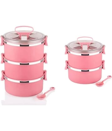 Analog Kitchenware 2 & 3 Pic School/Office Tiffin Stainless Steel Lunch Box 5 - Container ( Pack of 2 )