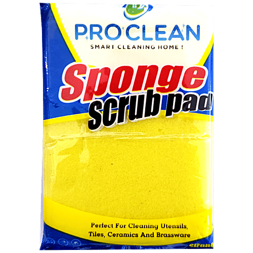 Pro Clean Sponge Scrub Pad - High-Quality Material, 1 pc