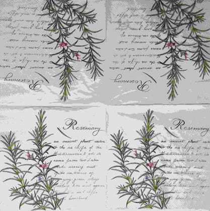 Decoupage Napkin / Tissue papers - GT1687