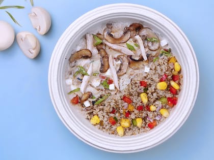 Chicken Mushroom Stroganoff Bowl