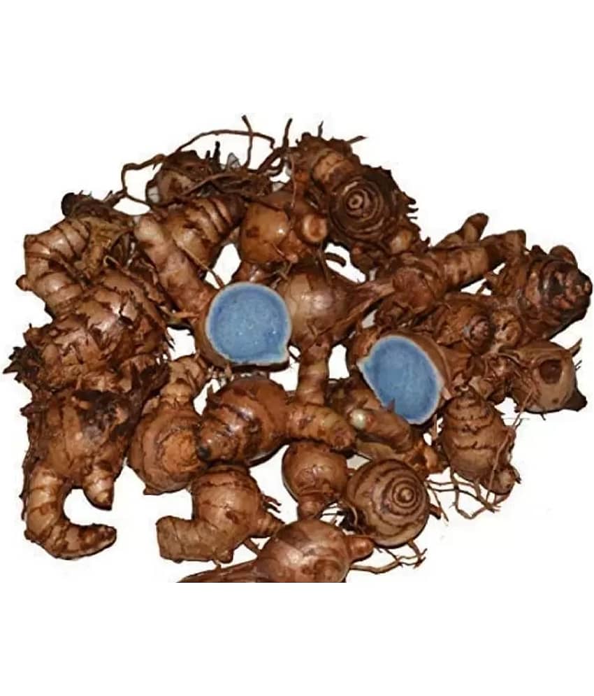 VIDHAN ART Black Kali Haldi ( Pack of 9 )