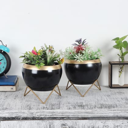 Black Apple Planter Set of 2