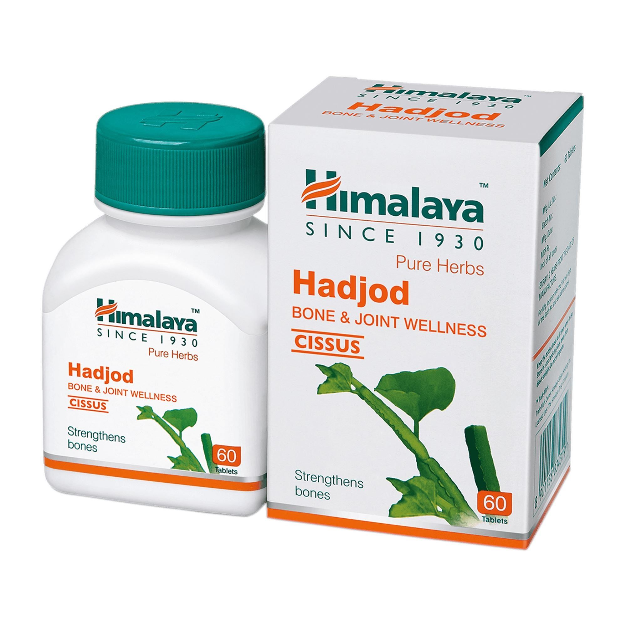 Hadjod 60 no.s