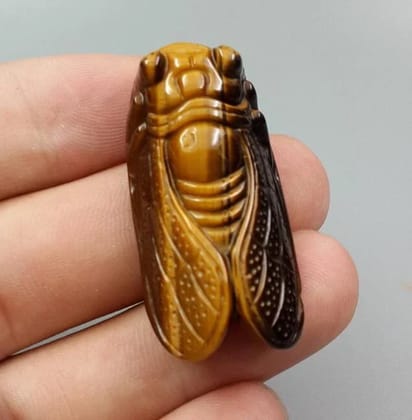 SahajHast 3D Carved Natural Yellow Tiger Eye Cicada Pendant- Lucky Charm Gift SahajHast 3D Carved Natural Yellow Tiger Eye Cicada Pendant- Lucky Charm Gift