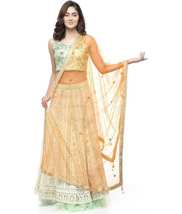 A R Silk Orange Net Pearl Embellished Dupatta
