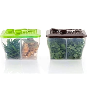 Analog Kitchenware Dal/Masala/Vegetable Plastic Multicolor Multi-Purpose Container ( Set of 2 )