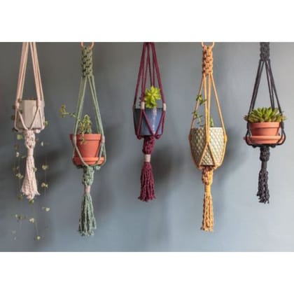 Multicolour Macrame Plant Holder Set Of 5 Pcs