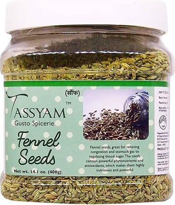 Tassyam - 400 gm Saunf (Aniseed/Fennel) (Pack of 1)