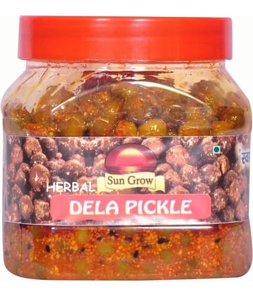 Sun Grow Herbal Mother Made Homemade Masalo Se Bana Chatpata Rajasthani Ker ka Achar Dela Pickle 500 g