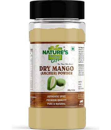 Natures Gift - 250 gm Amchur (Dried Mango) (Pack of 1)