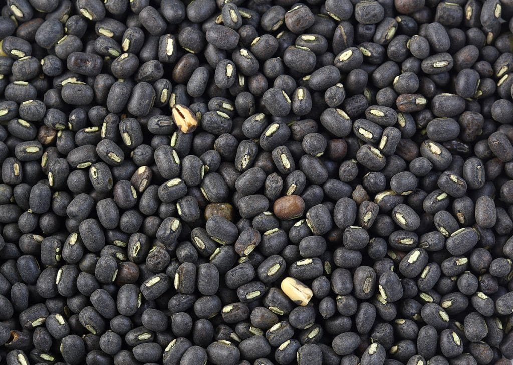 BLACK GRAM 500 G