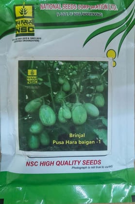 NSC Brinjal Seed Pusa Hara Baingan-1 - 100g NSC Brinjal Seed Pusa Hara Baingan-1 - 100g