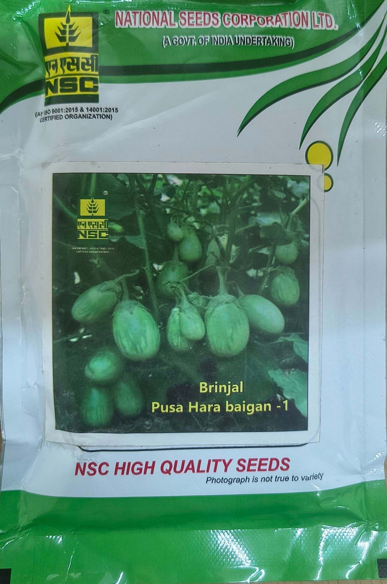 NSC Brinjal Seed Pusa Hara Baingan-1 - 100g