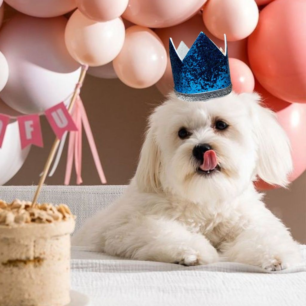 Kids Crown Blue Cap w/Pull Elastic & Customizable