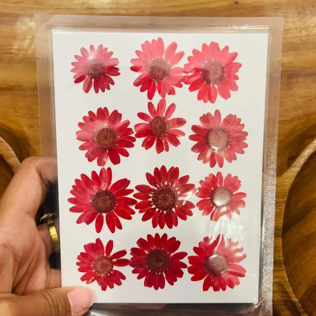 Pressed Flowers - 12 Flowers in 1 Red