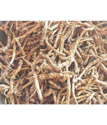VINARGHYA Kutki Herbs / Kutaki Jad / Katukaa / Katurohini / Picrorhiza root 50 gm