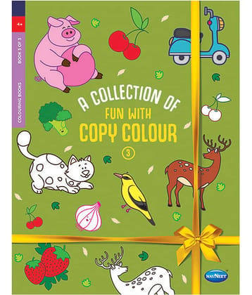 Navneet Collection Of Fun With Copy Colour-3