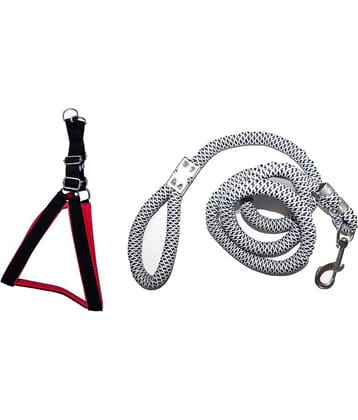 Tame Love Padded Harness and Leash for Adult Dogs of All Breeds (Blue Color - 1.25 inches)