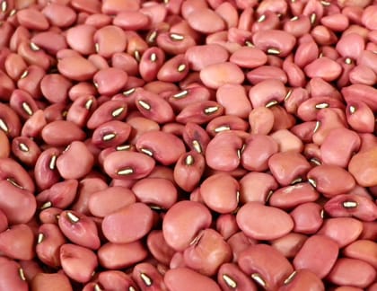 Desi Utthana Organics Cowpea Red (Alasande kaalu) 500GMS