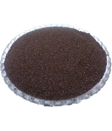 MYGODGIFT Samundra Sonkh,Samander Sokh,Vidhara,Murva, Bidhara, Samunder Sokh, 200 gm