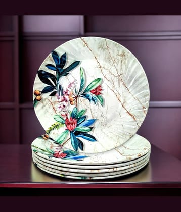 kitchrox 6 Pcs Melamine Multi Color Half Plate