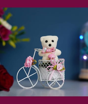 eCraftIndia White & Pink Cycle with Teddy Bear Valentine Gift Set