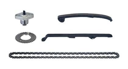Cam Chain Kit / Timing Chain Kit - Karizma - 22K160S