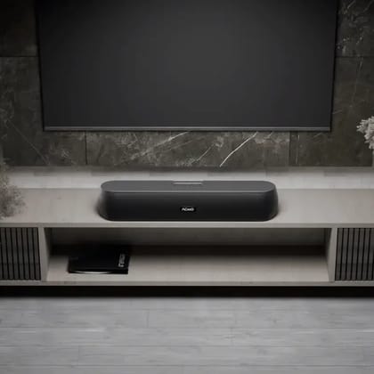 CARNIwAL 212 : TWS Dual Powerful Soundbar Speakers (Black)