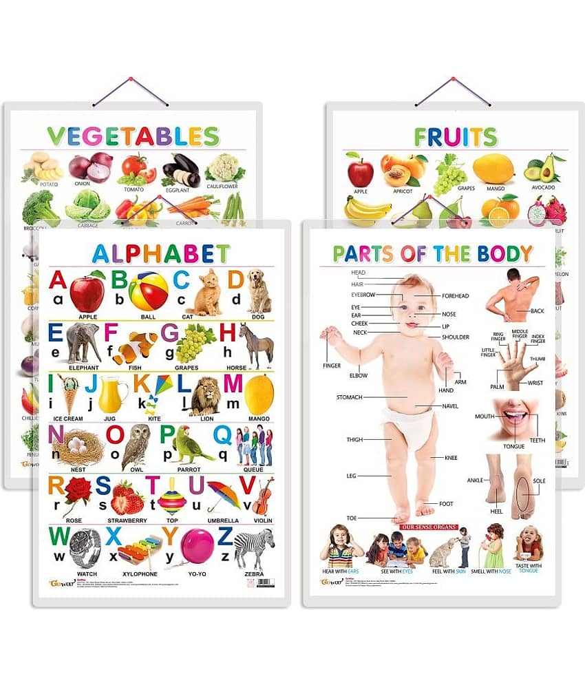 Set of 4 Alphabet, Fruits, Vegetables and Parts of the Body Early Learning Educational Charts for Kids | 20"X30" inch |Non-Tearable and Waterproof | Double Sided Laminated | Perfect for Homeschooling, Kindergarten and Nursery Students