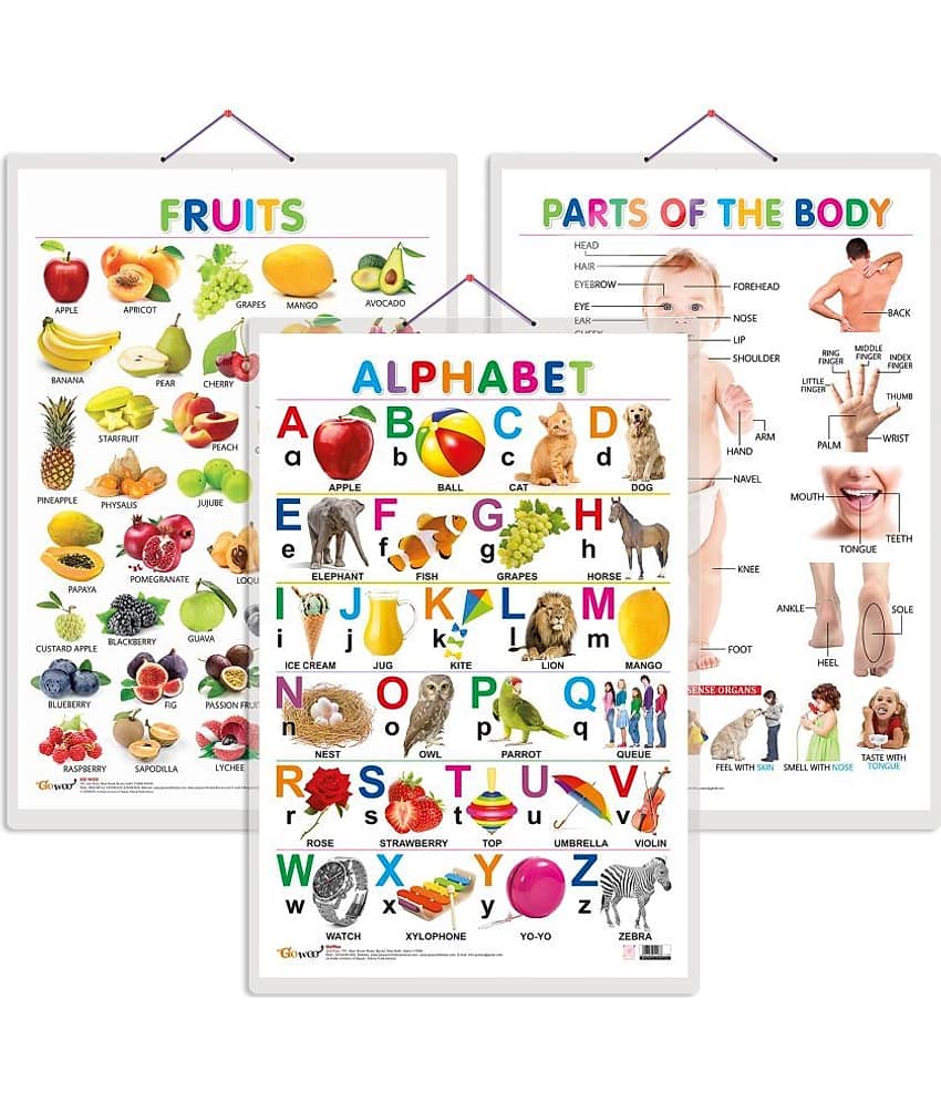 Set of 3 Alphabet, Fruits and Parts of the Body Early Learning Educational Charts for Kids | 20"X30" inch |Non-Tearable and Waterproof | Double Sided Laminated | Perfect for Homeschooling, Kindergarten and Nursery Students