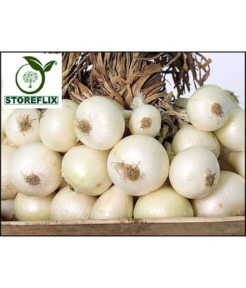 STOREFLIX ONION WHITE KANDA PYAJ VEGETABLE Seed (200 per packet) WITH USER MANUAL