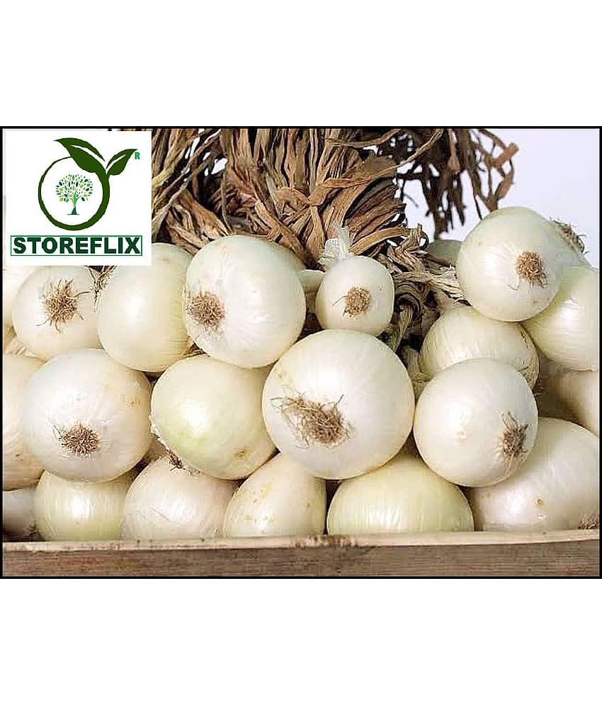 STOREFLIX ONION WHITE KANDA PYAJ VEGETABLE Seed (200 per packet) WITH USER MANUAL