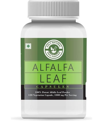 Holy Natural Capsule 120 no.s Pack of 1