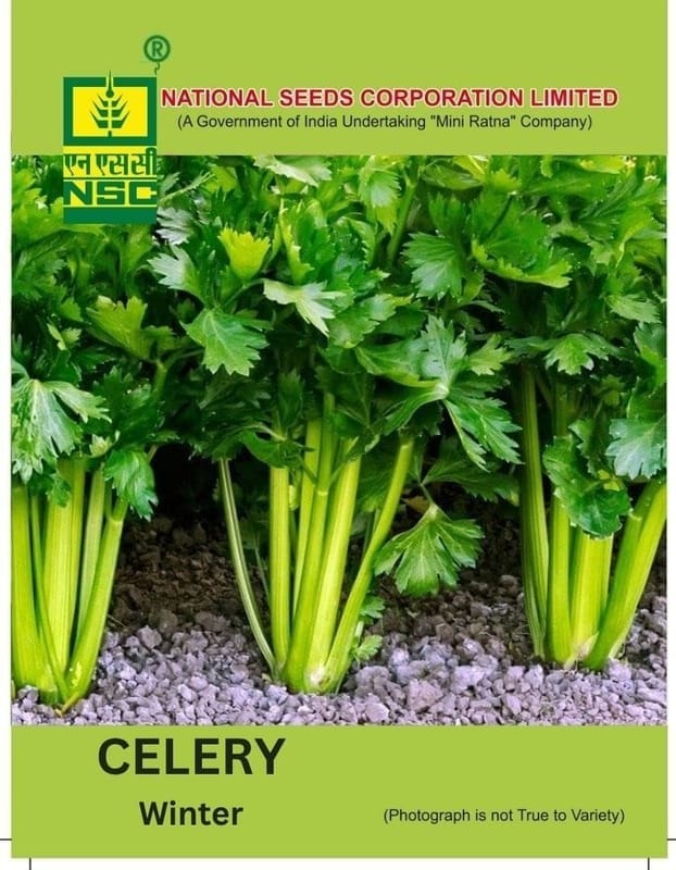 NSC Celery Ford Hook Emperor Seed, 
