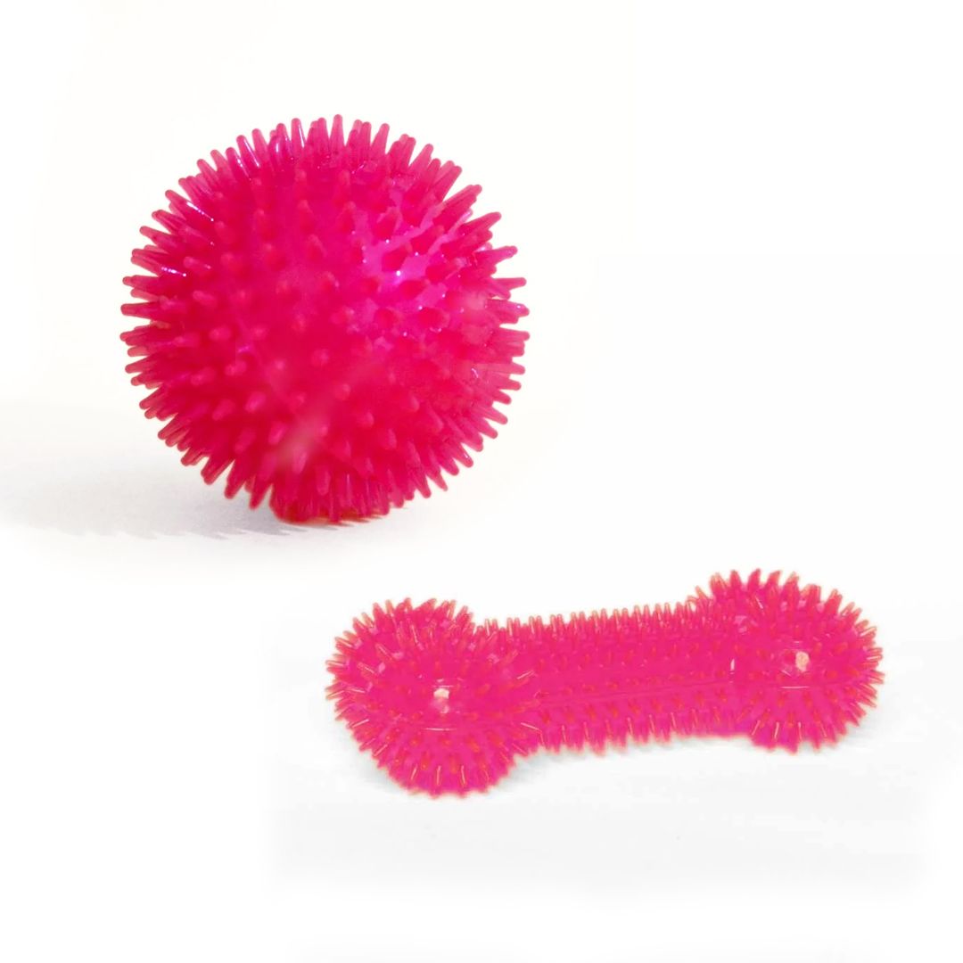 Spike up - Squeaky Bouncy Dog Chew Toy-Pink