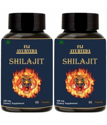 FIJ AYURVEDA Shilajit  Capsule Supports Vigor & Vitality - 500mg 60 Capsules (Pack of 2)