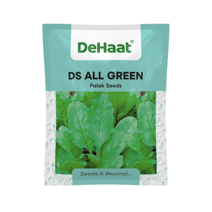 DS ALL GREEN DEHAAT PALAK SEEDS