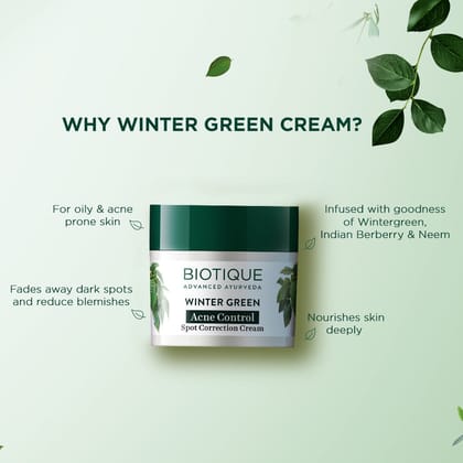 Biotique Winter Green Acne Control Spot Correction Cream 15g