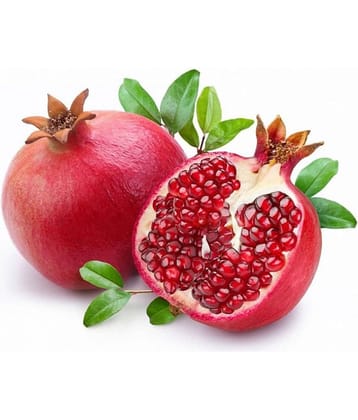 Organic Turkey Giant Pomegranate Seeds Punica Granatum Shrub Fruit Tree 20 seeds