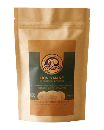 SomaShrooms Lions Mane Dried Powder SomaShrooms Lions Mane Dried Powder