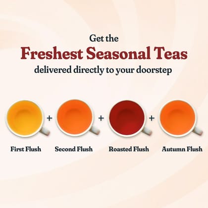 Darjeeling Black Plan | Now Delivering: 2025 First Flush Teas-100g / EVERY 3 MONTH (4 Deliveries)