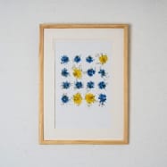 Nigella Pressed Flower Frame Unique Botanical Wall Art for Home & Gifts Nigella Pressed Flower Frame Unique Botanical Wall Art for Home & Gifts