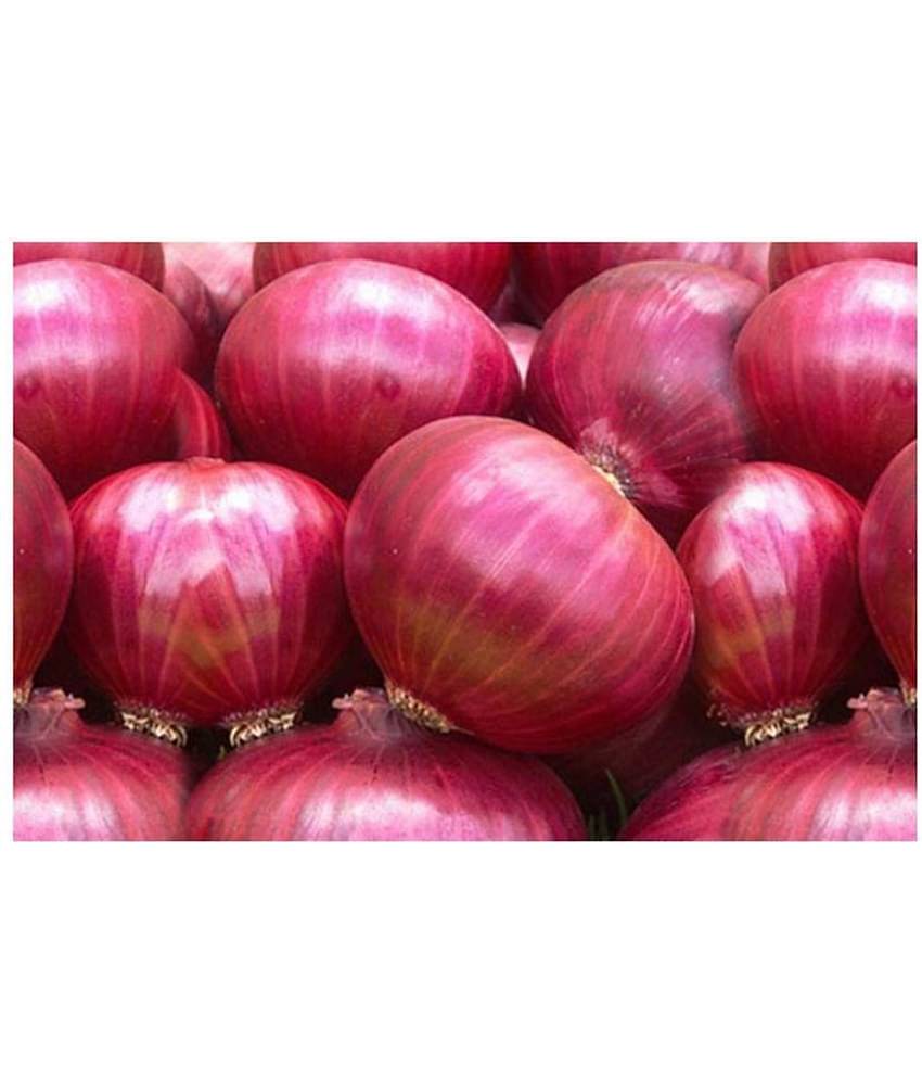 Raunak Seeds Onion Super Nasik Improved Red