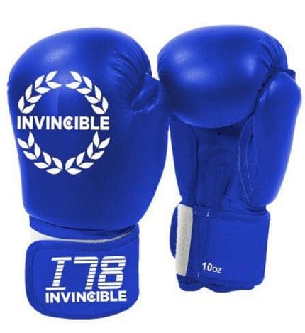 Invincible Training Boxing Gloves 12 oz