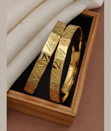 Shivay Fashion Gold Bangle Set ( Pack of 1 )
